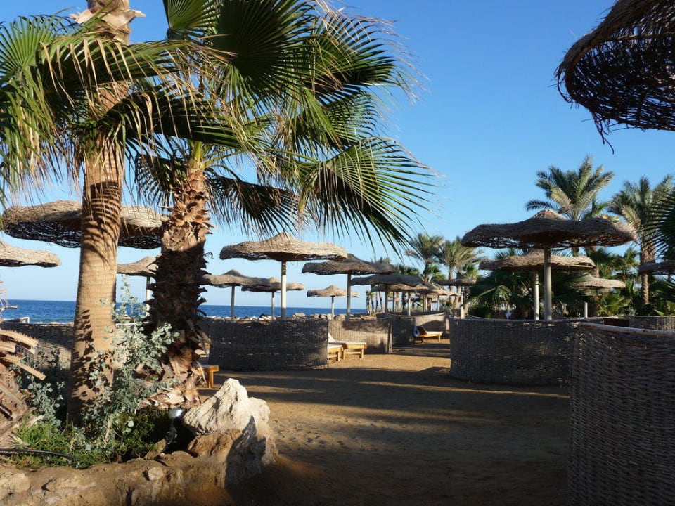 Hotel Pickalbatros Citadel Resort