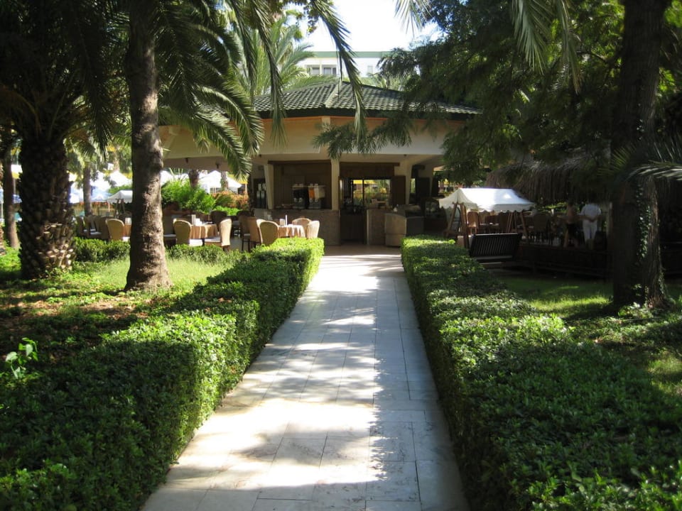 Gartenanlage und Poolbar Botanik Hotel & Resort