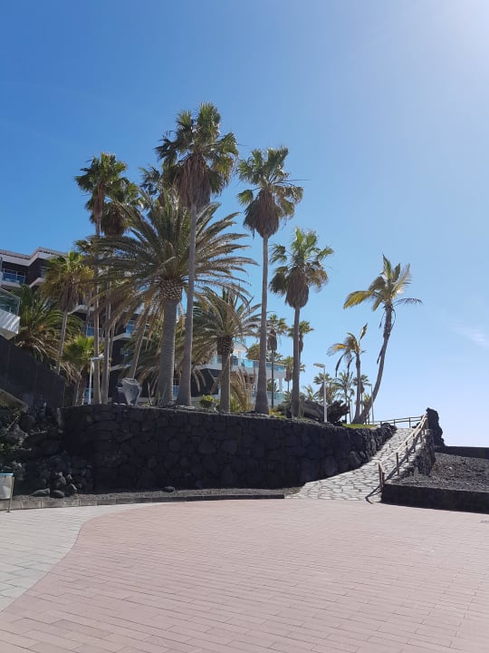 Gartenanlage Melia La Palma Hotel