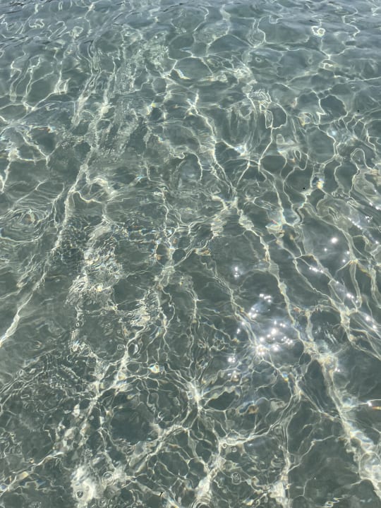 Strand Globales Bouganvilla