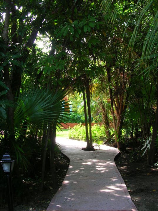 Einer von vielen Wegen in der Gartenanlage Catalonia Playa Maroma