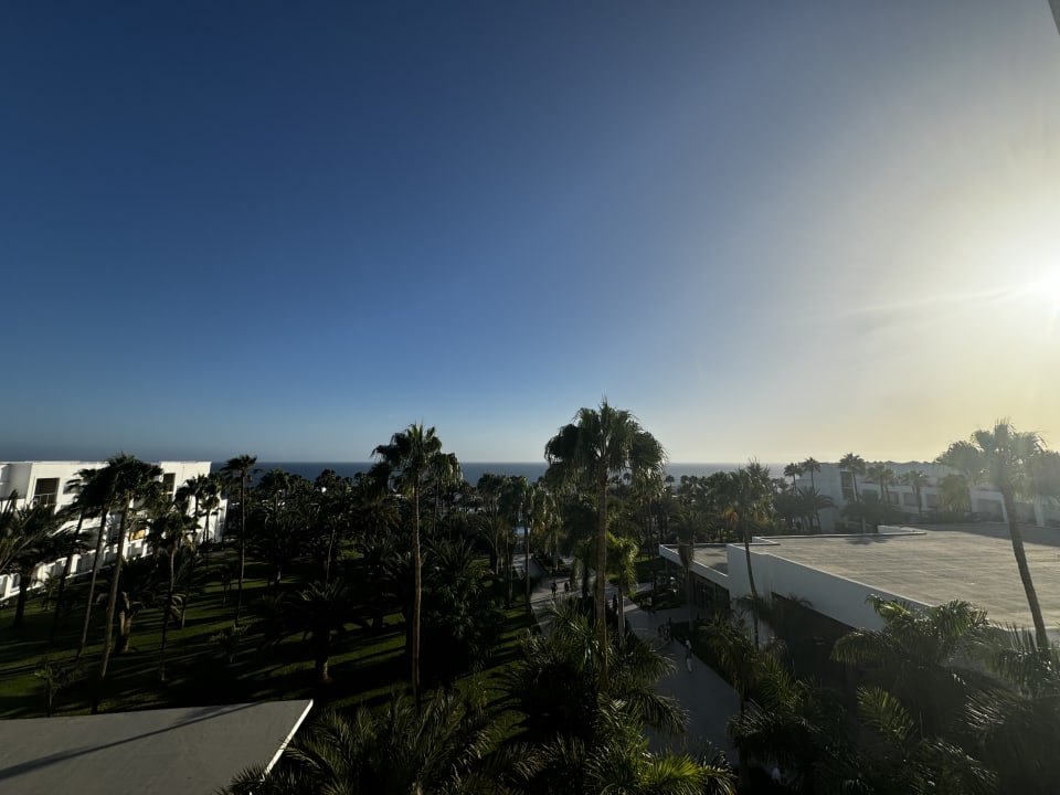 Gartenanlage Hotel Riu Gran Canaria