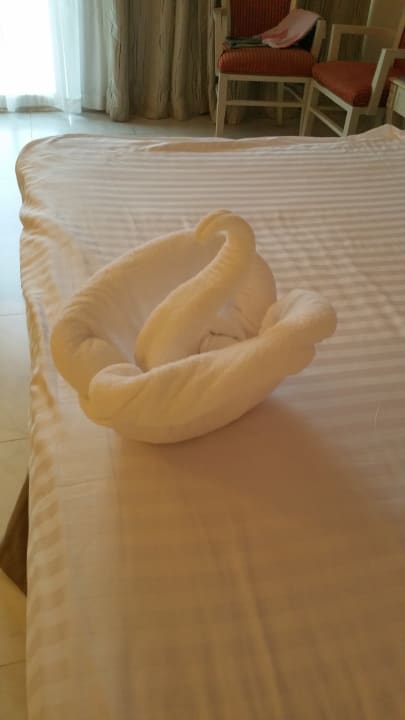 Zimmer Concorde El Salam Hotel Sharm el Sheikh by Royal Tulip