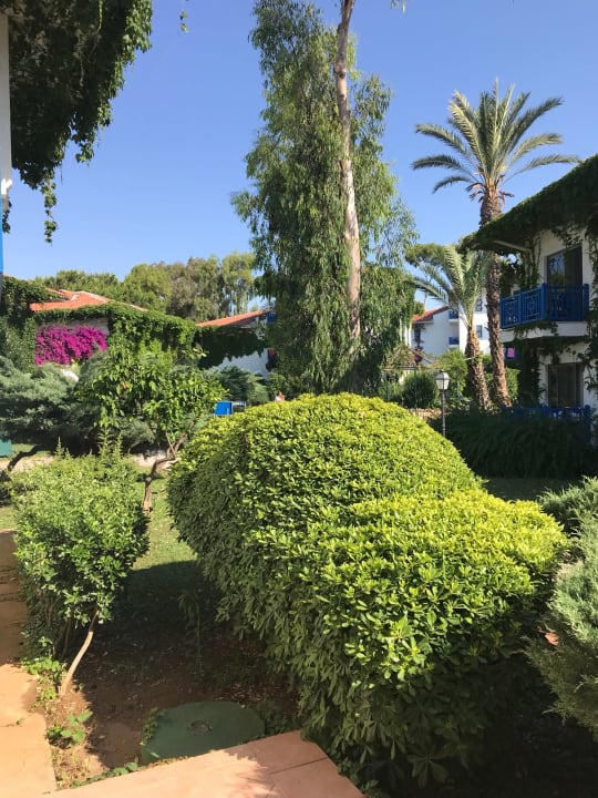 Gartenanlage Belconti Resort Hotel