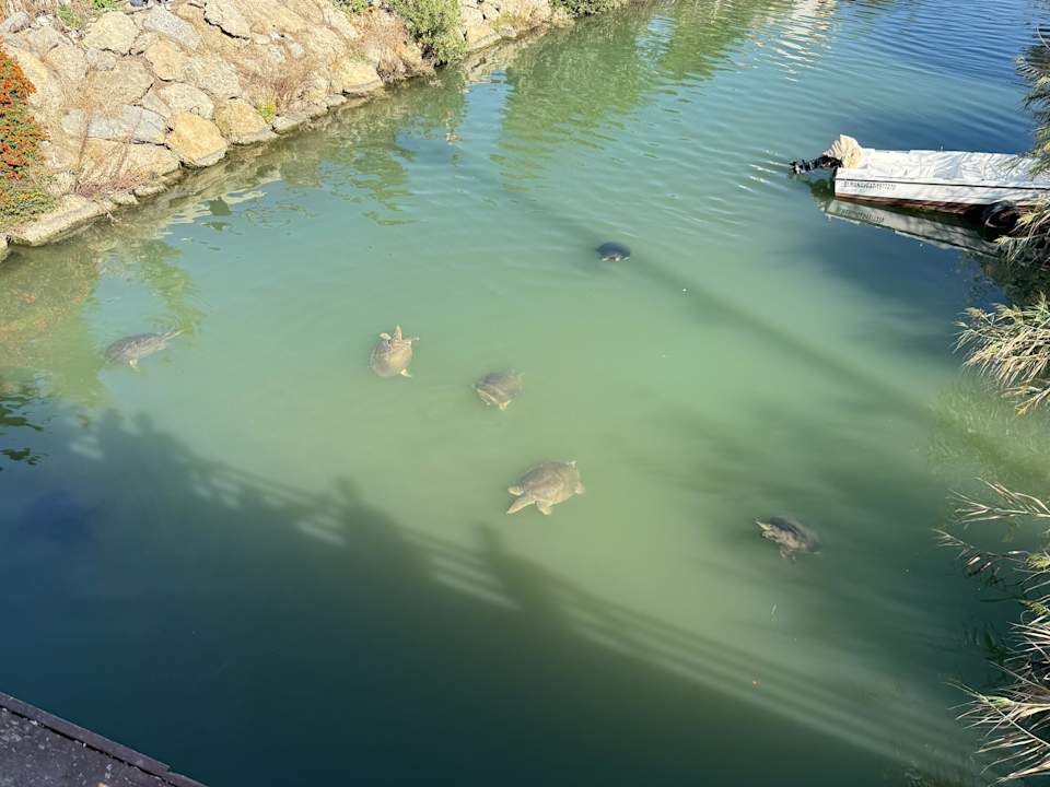 Ausblick Dream World Resort & Spa