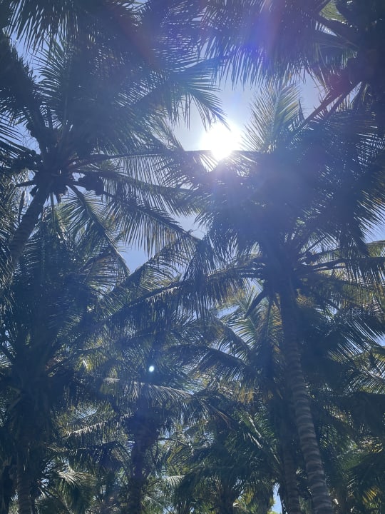 Strand Hotel Riu Funana