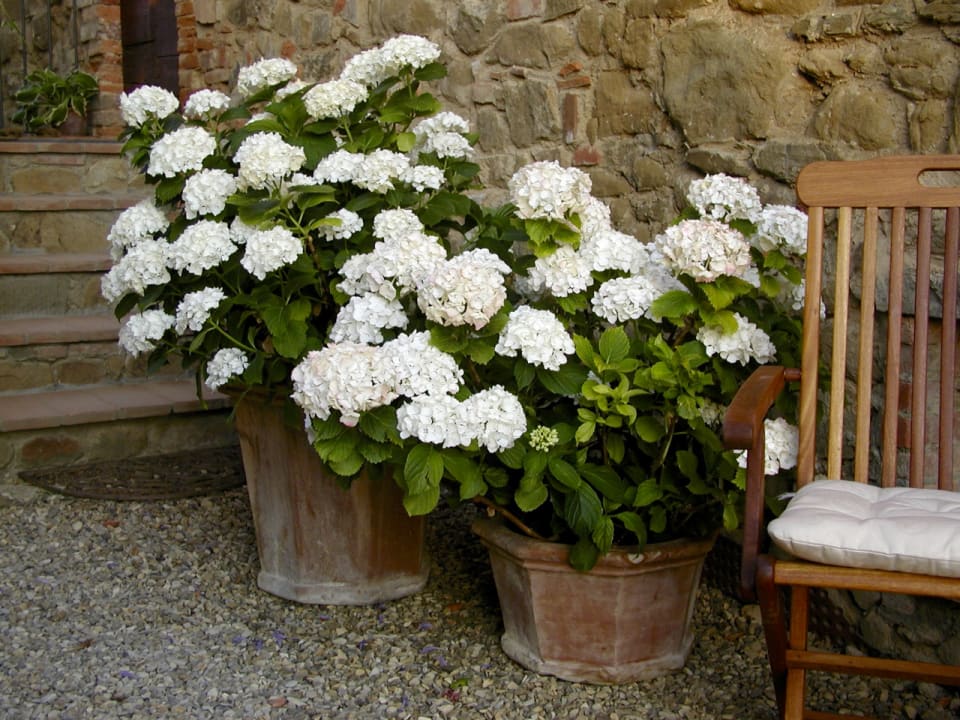 Sonstiges Ventena Vecchia antico frantoio