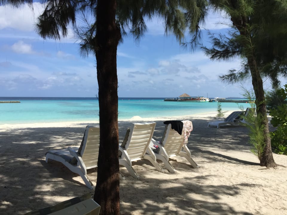 Strand Summer Island Maldives