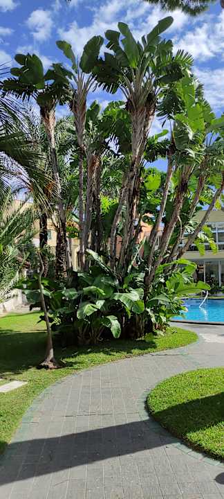 Gartenanlage Albergo La Reginella Resort & SPA Ischia
