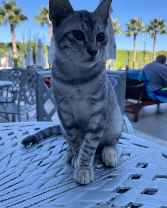 Sonstiges Dream World Aqua Hotel