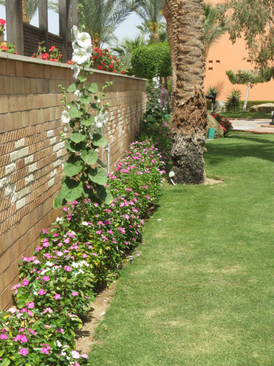 Gartenanlage Jaz Makadi Oasis Resort