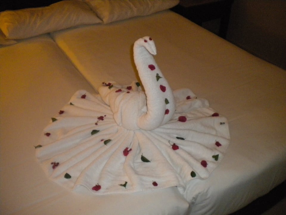 Deko Jaz Dar EL Madina