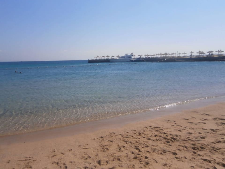 Das rote Meer Beach Albatros Resort