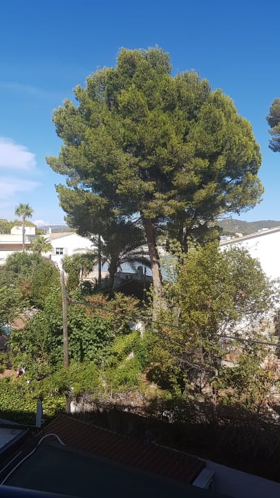 Garten FLOR los Almendros Hotel