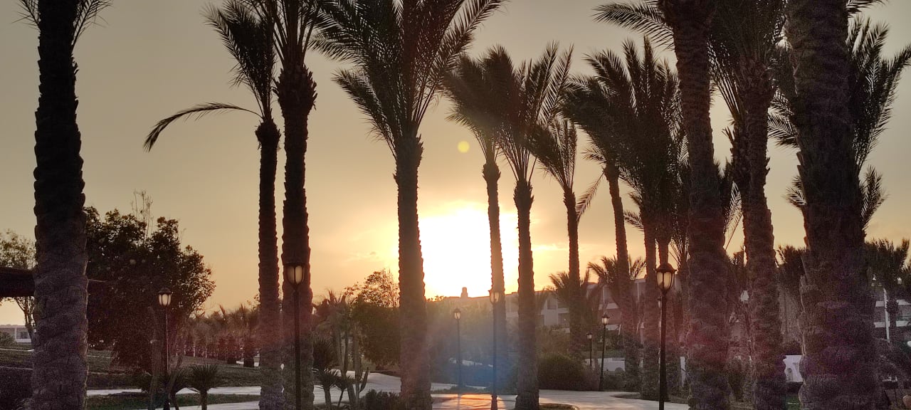 Ausblick Brayka Bay Resort