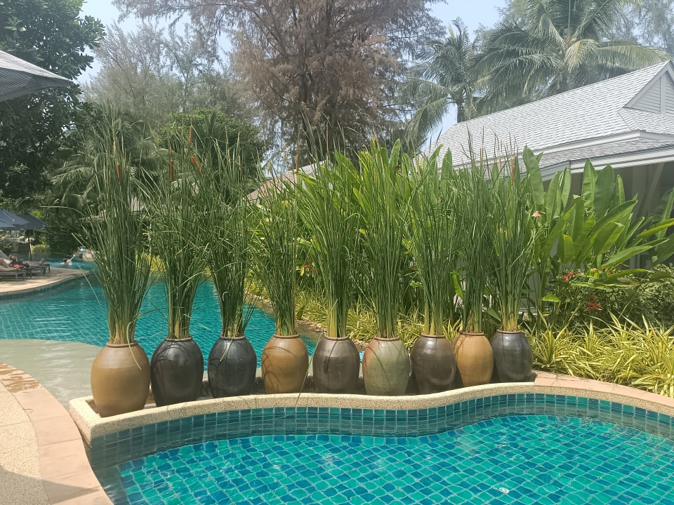 Pool Moracea by Khao Lak Resort