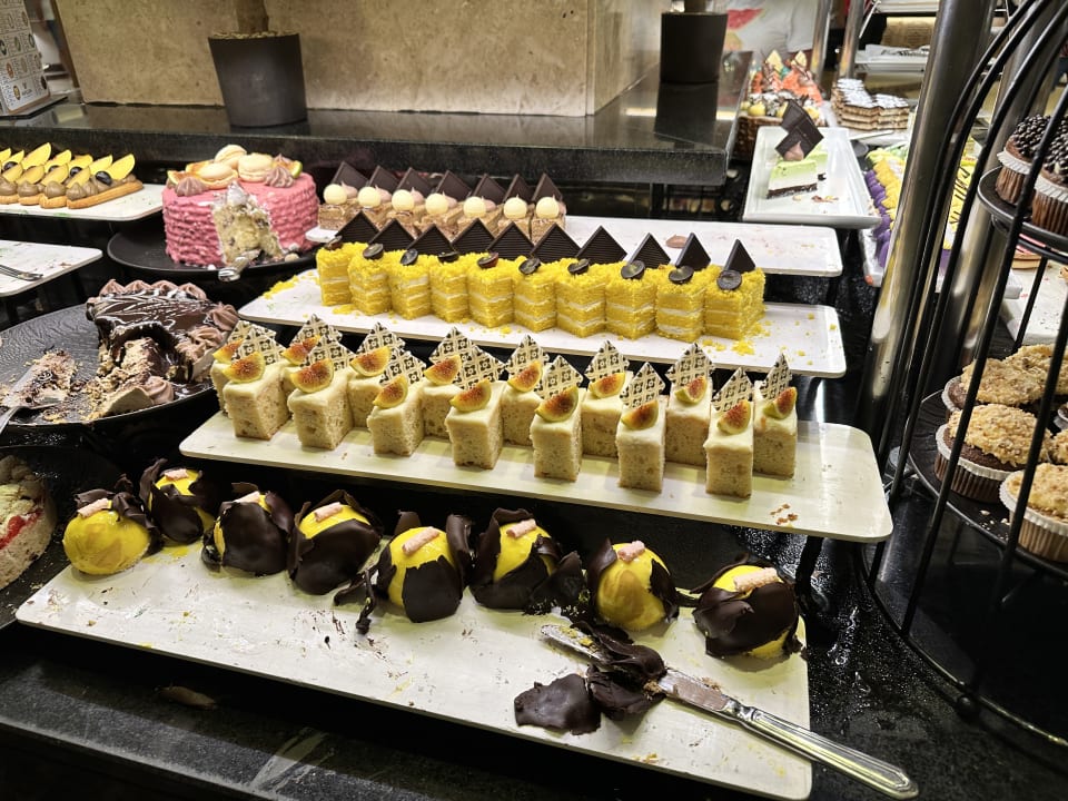 Gastro Papillon Ayscha