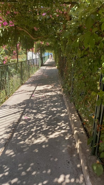 Ausblick My Home Resort