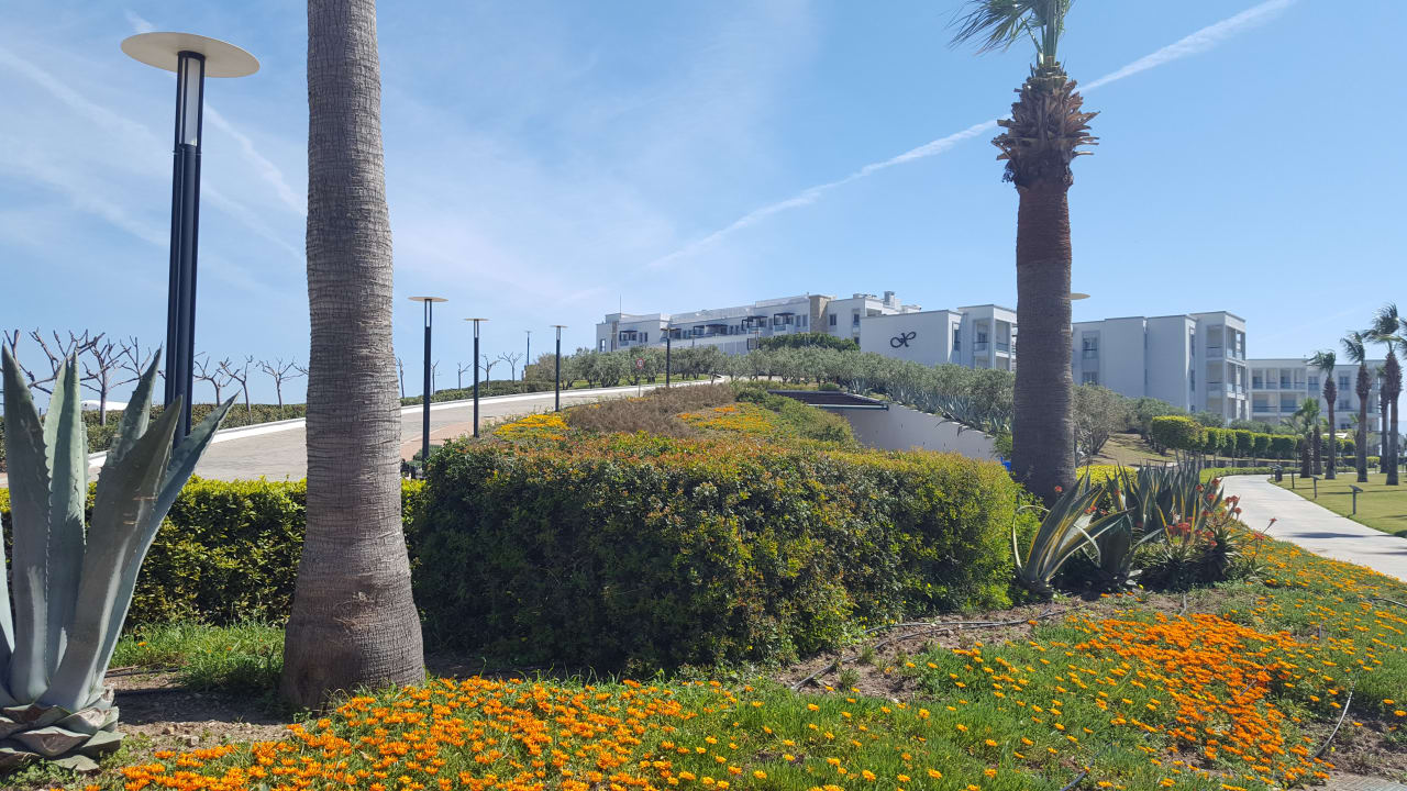 Gartenanlage Xanadu Island Hotel