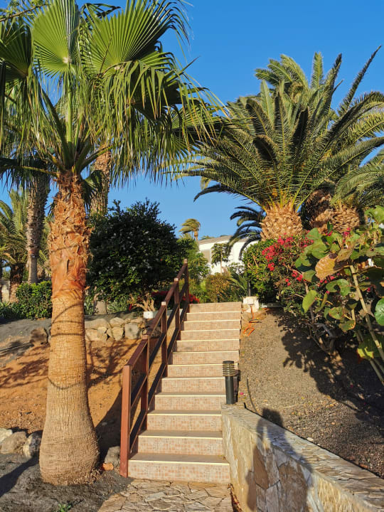 Außenansicht Marina Playa Suite Hotel