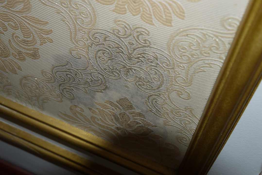 Mould on another tapestry Hotel Thaison Palace