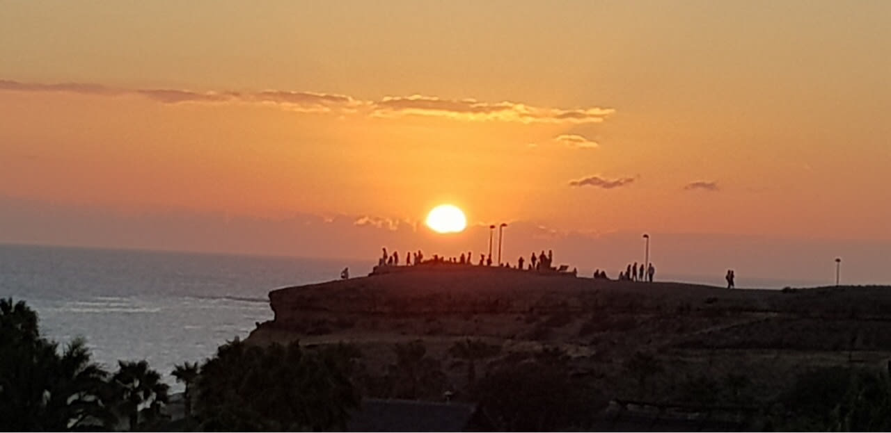 Ausblick Hotel Riu Palace Tenerife
