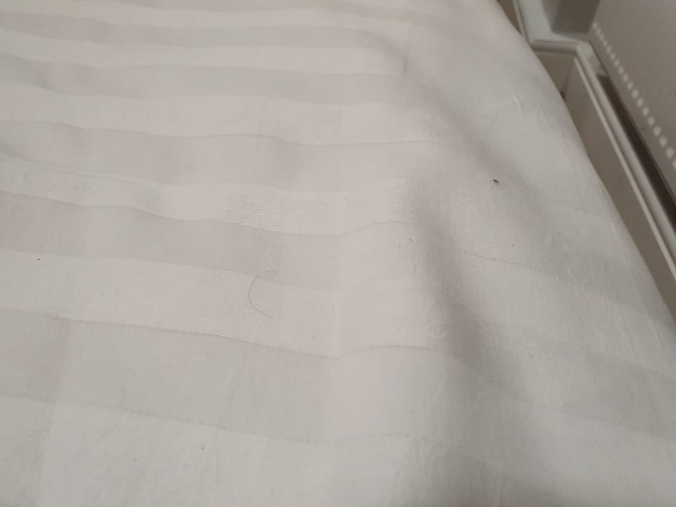 Zimmer Royal Cambridge Hotel