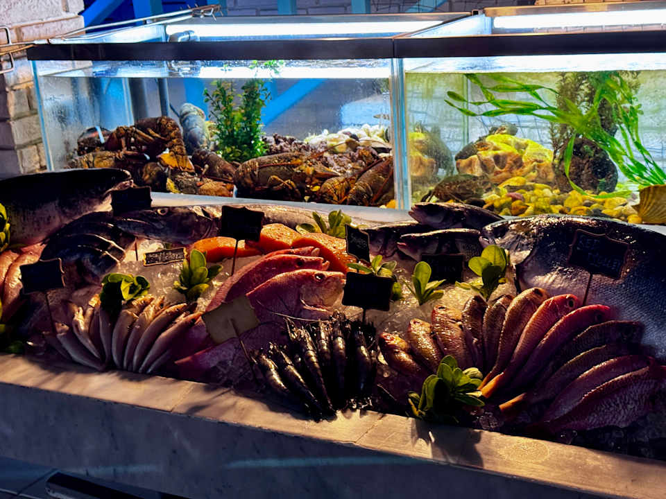 Gastro Rixos The Palm Hotel & Suites