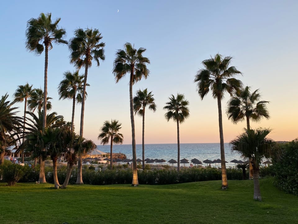 Gartenanlage Hotel Nissi Beach Resort