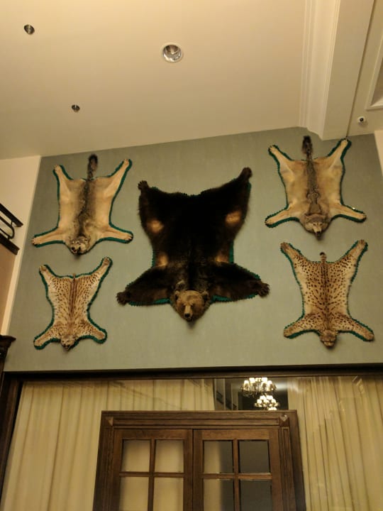 Sonstiges Hotel Apollo