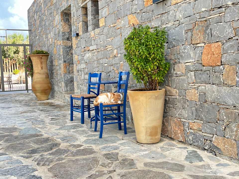 Sport & Freizeit Creta Maris Resort