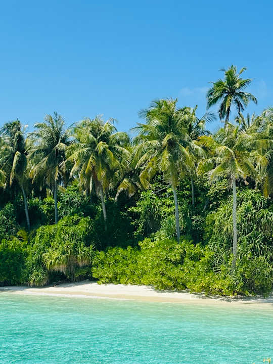 Strand Jawakara Islands Maldives