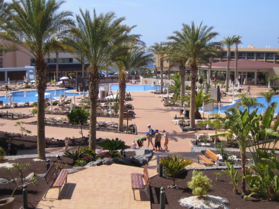 Anlagen & Pool Iberostar Waves Gaviotas Park