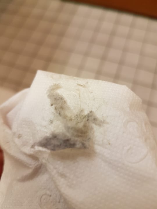 Zimmer ACHAT Hotel Neustadt an der Weinstraße