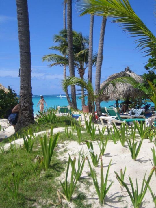 Strand Grand Palladium Punta Cana Resort & Spa