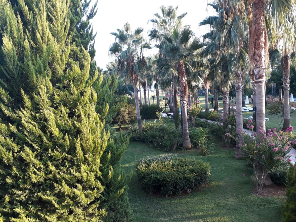 Außenansicht Royal Atlantis Beach Hotel