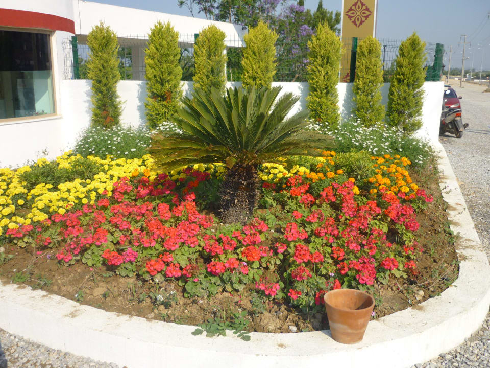Hoteleinfahrt Asteria Family Resort Side