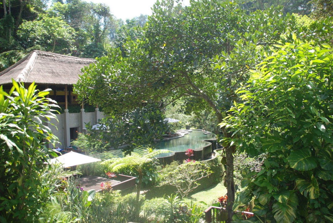 Spa-Pool Maya Ubud Resort & Spa Bali