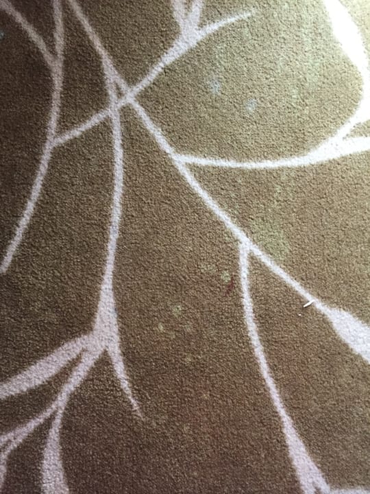 Zimmer Orange County Kemer