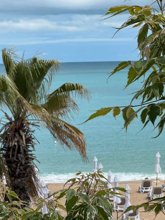 Strand Sentido Marea