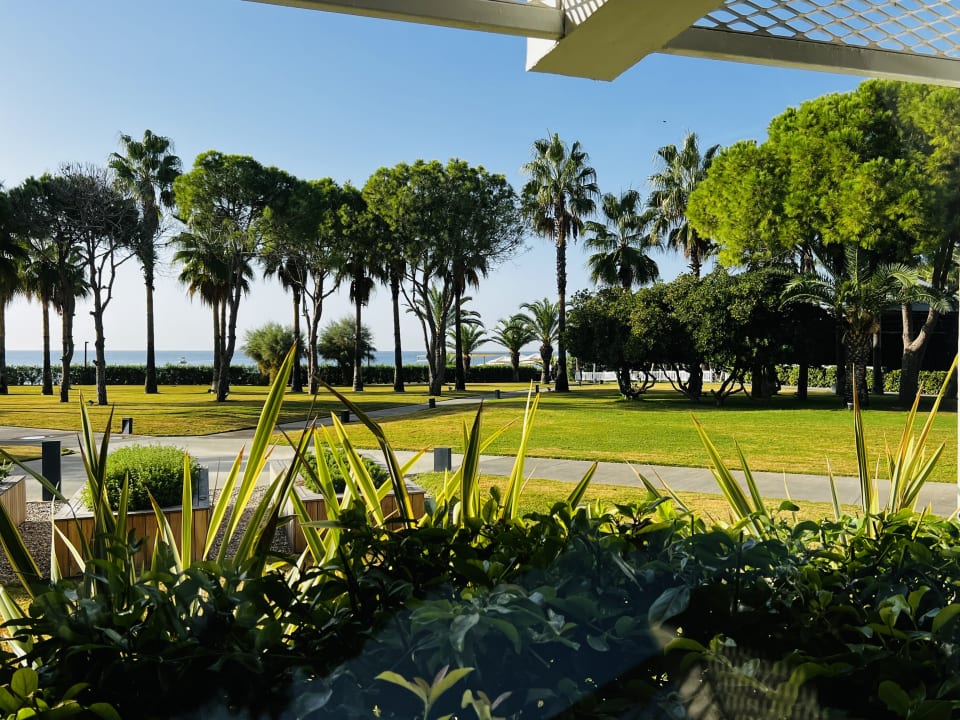 Gastro Paloma Finesse