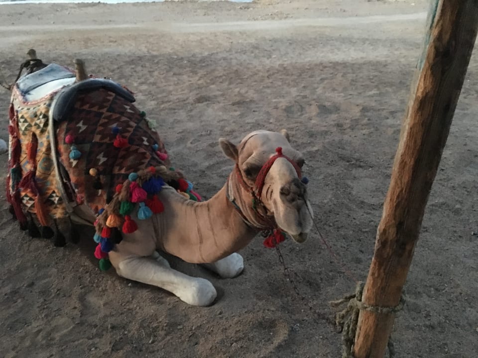 Strand Three Corners Sea Beach Resort