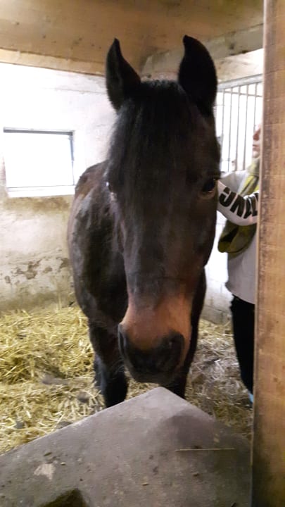 Sport & Freizeit Nordseeferienhof Katthusen