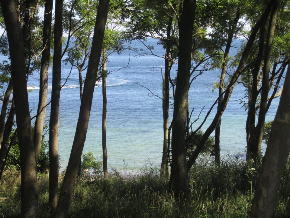 Strand Ferienbauernhof Liesenberg mit Meerblick