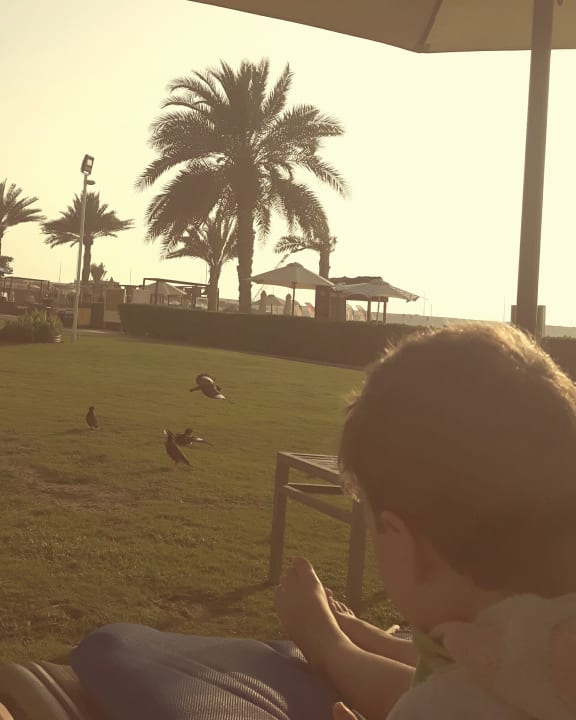 Gartenanlage Sheraton Jumeirah Beach Resort