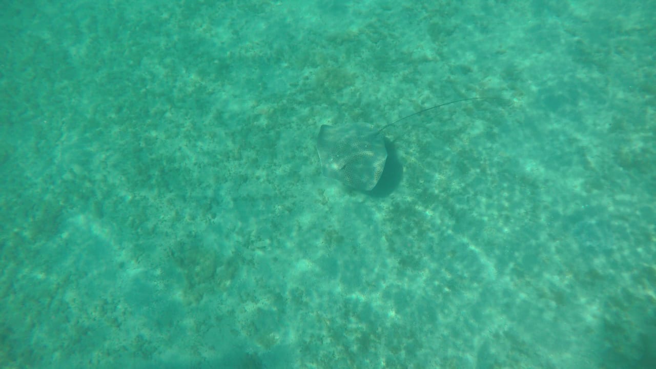 Strand Malikia Resort Abu Dabbab