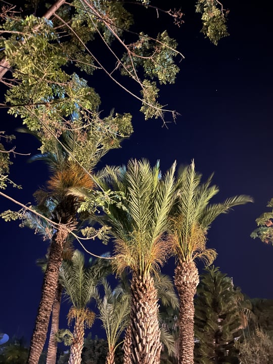 Ausblick Labranda Alantur Resort