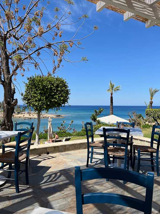 Gartenanlage Crystal Springs Beach Hotel