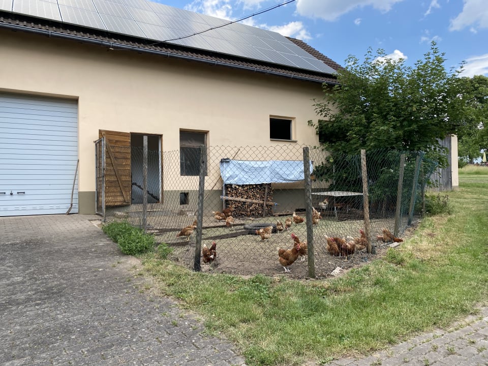 Gartenanlage Ferienhof Lehner am Rothsee
