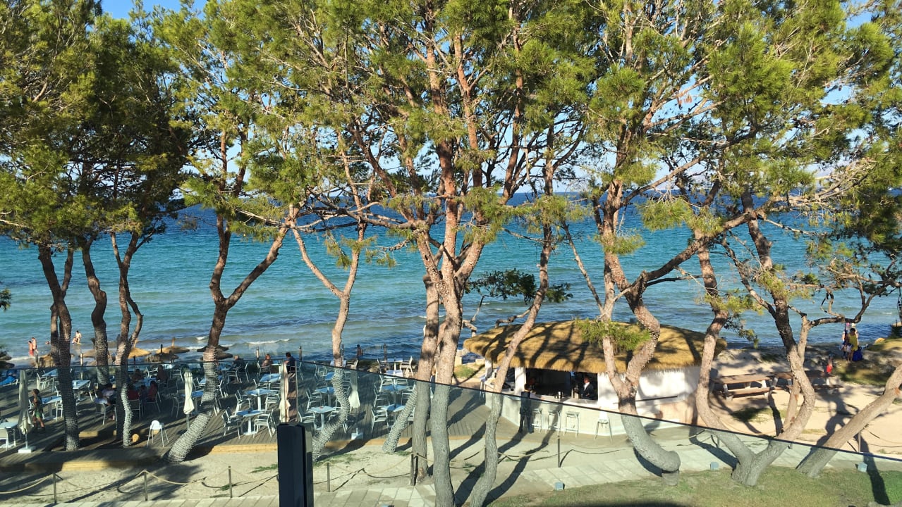 Ausblick Iberostar Waves Playa de Muro